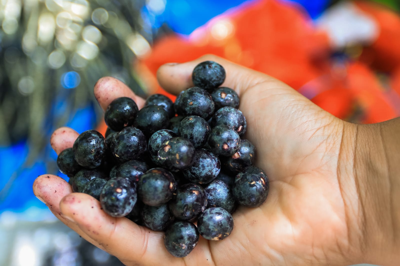 How People in the Amazon Actually Eat Açaí